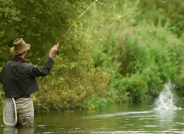 Watch the English Chalkstream video