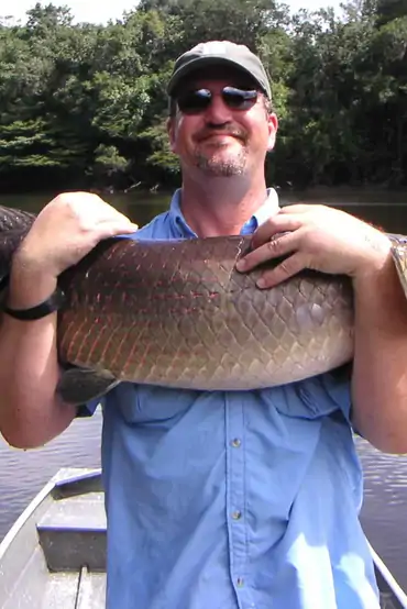 Large Amazon fish at Agua Boa Amazon Lodge