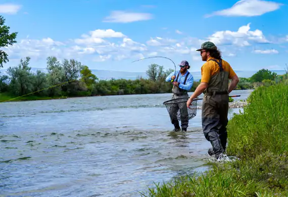 Fly angler fighting a trout on an English chalkstream