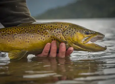 Matt Davies and Sweetwater Guide School on-river instruction
