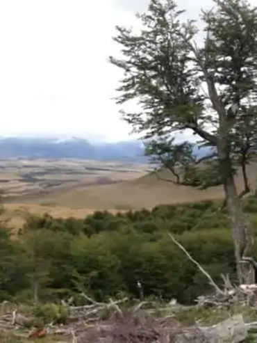 Argentina and Patagonia fly fishing country