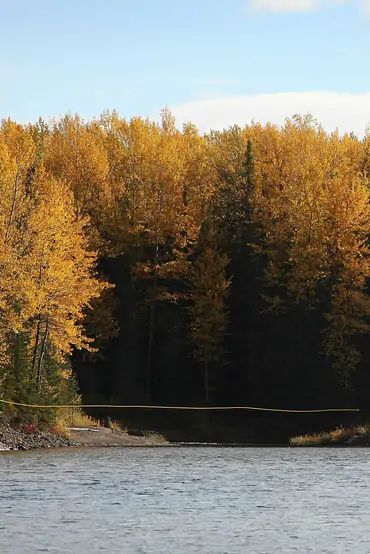 Sustut River near Steelhead Valhalla Lodge