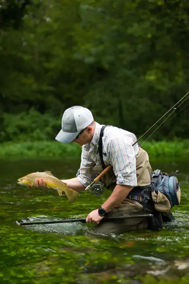 English chalkstream trout held by an angler