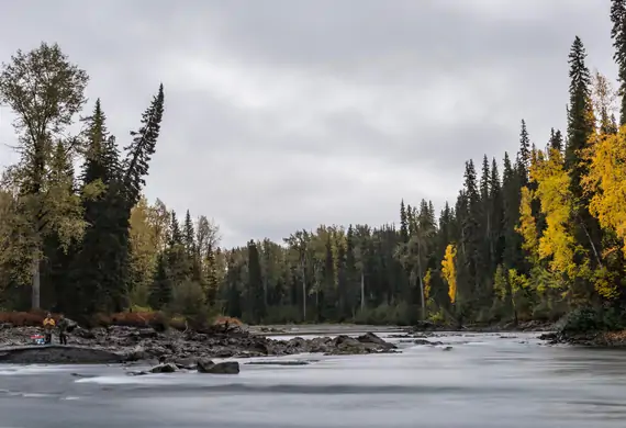 Angler casting for steelhead near Steelhead Valhalla Lodge